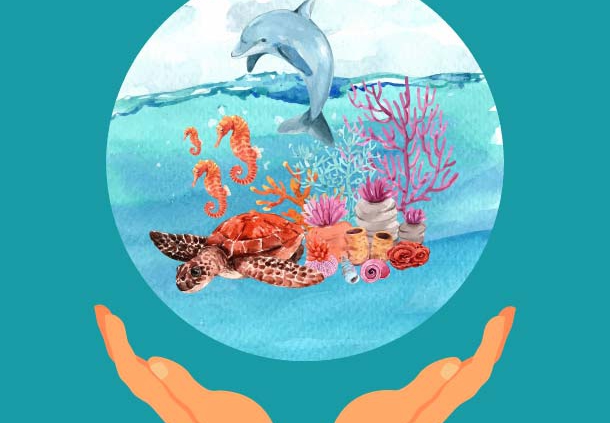 Profesi Ahli Kelautan Gaji Kualifikasi Jobdesk Dan Pendidikan Kuliahnya